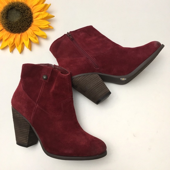 vince camuto burgundy booties